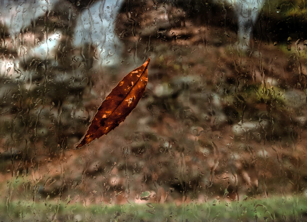 How does a Roth IRA grow & earn interest? | Human Interest